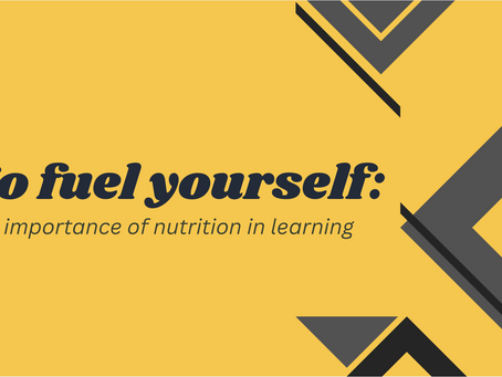 Meeting #3- November 7, 2024