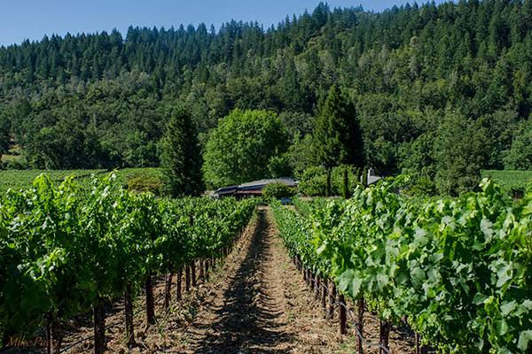 Neyers Vineyards Wine Dinner