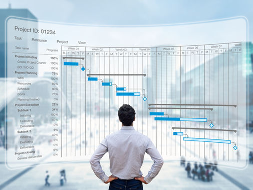 CDM 2015 Demystified: Protecting Your People, Production, and Project