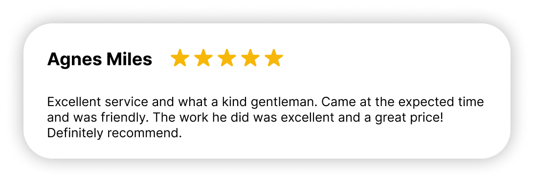 "5-star review from Agnes Miles recommending the excellent service and great price at Polar Valets."