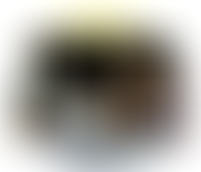 Finding Faith ... in knowing what you have for Jesus to eat