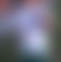 Finding Faith ... in a level playing field