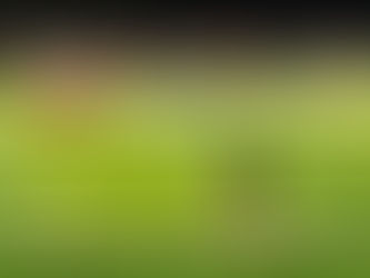 Finding Faith ... in going 3-0