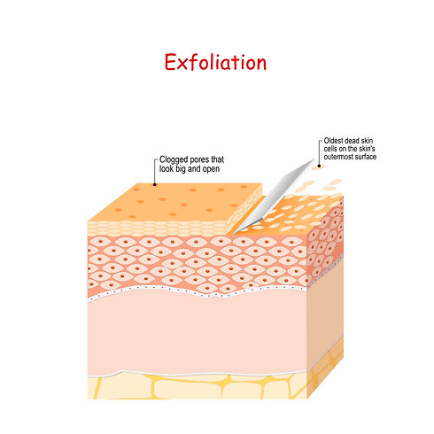 Exfoliation.jpeg