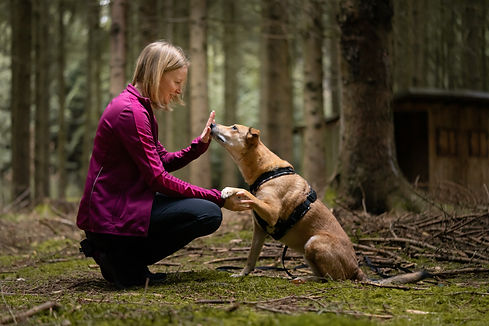 2026-03-14 Wald Aika (243).jpg