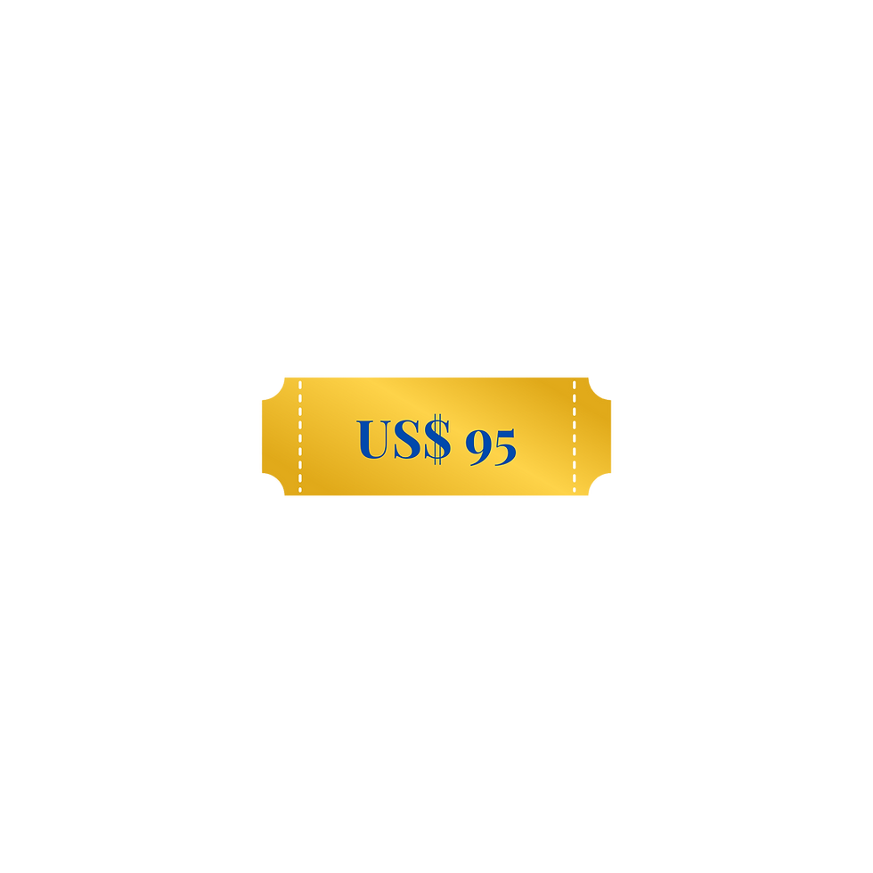 US$95.png