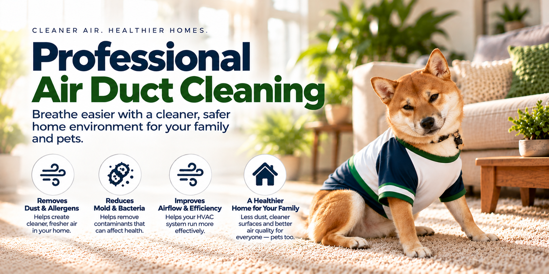 Professional Air Duct Cleaning, original ACS full-color ad