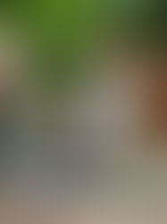 CREATIVE CUTS - Woodford Folk Festival