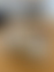 POP-UP FOOD REVIEW - Montville Bakehouse – 168 Main Street, Montville