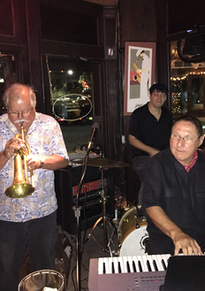Leon Ziligson Trio Playing at Soho 