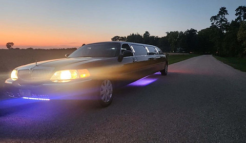 Limo 3.jpeg