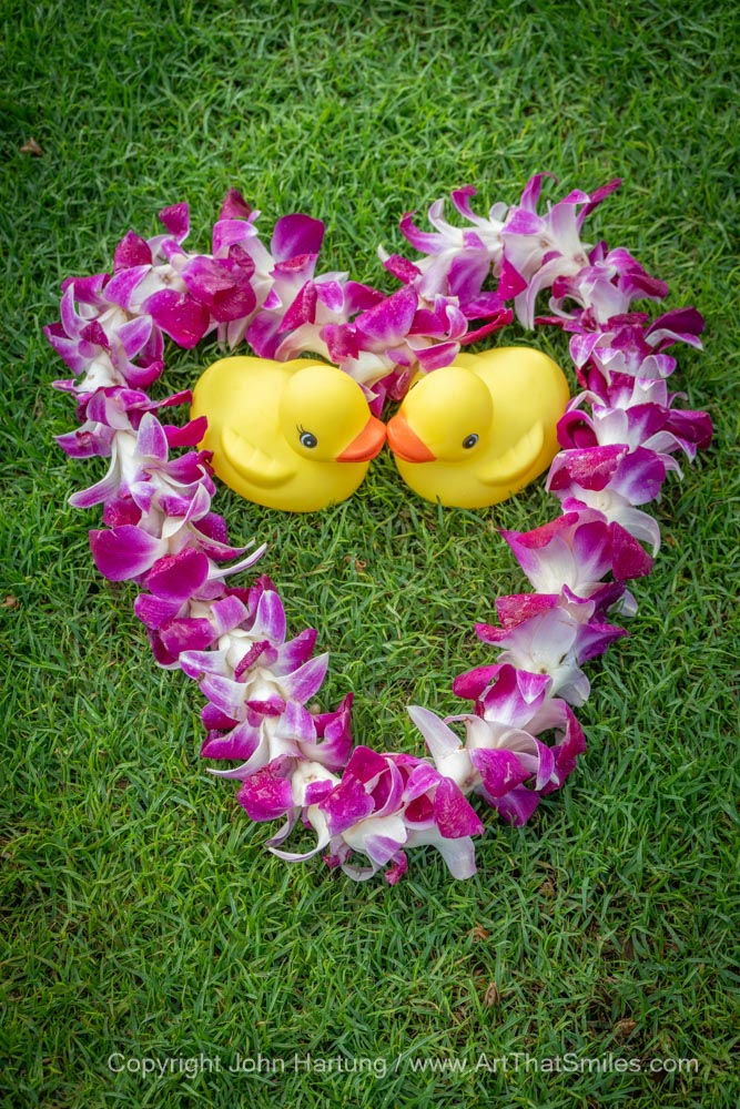 Rubber duckies inside Hawaiian lei