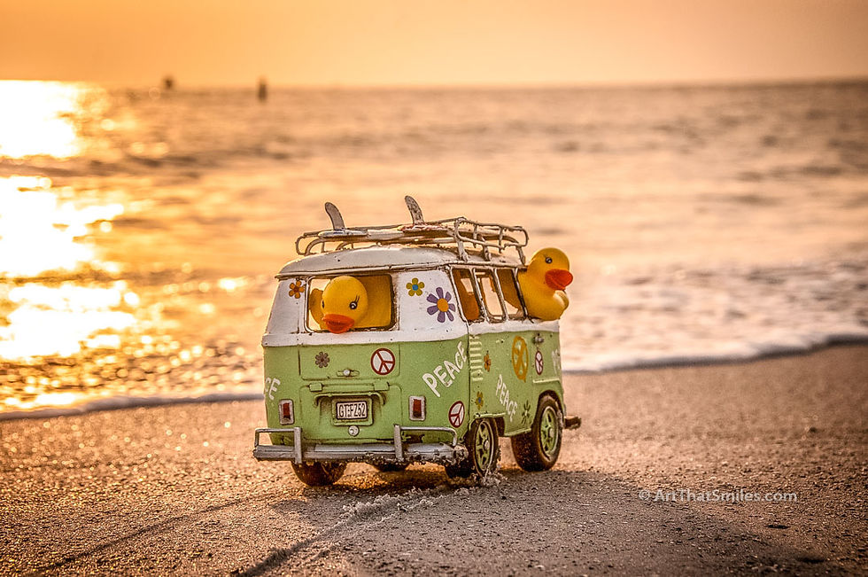 SURF'S UP - Cute and funny photograph of surfer rubber duckies in hippie van at the beach.