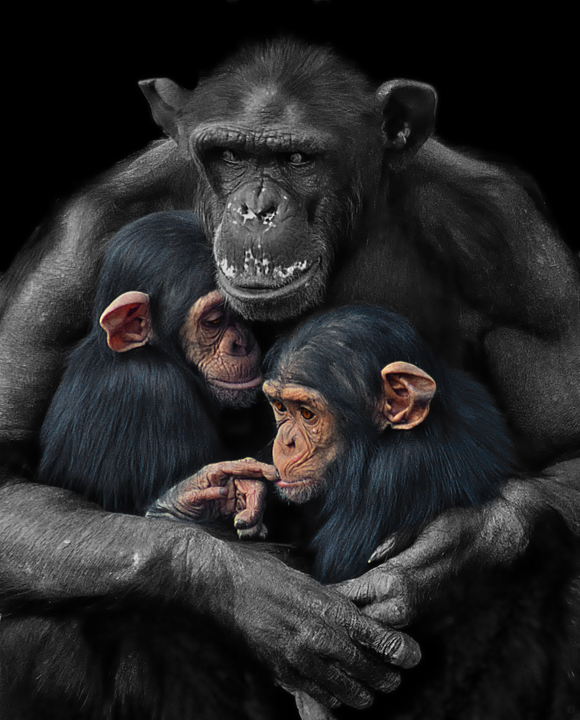 Family