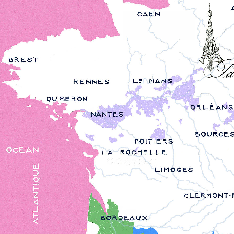 Thumbnail: LES VIGNOBLES DE FRANCE