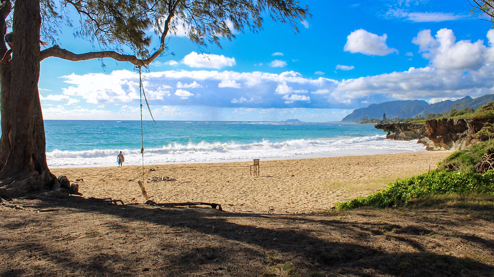 Beach Clean Up & Body Boarding Clinic