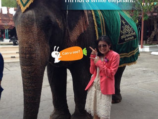 I'm not a white elephant!