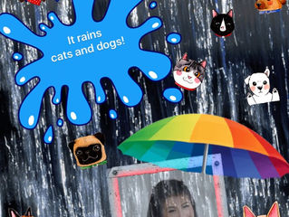 ตอนที่ 7 ฟ้ายามเมื่อมีฝนพรำ