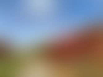 Fall is a Great Time to Re-Assess Your Fitness Goals!