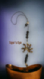 Thumbnail: Moe Treez Car Fresheners