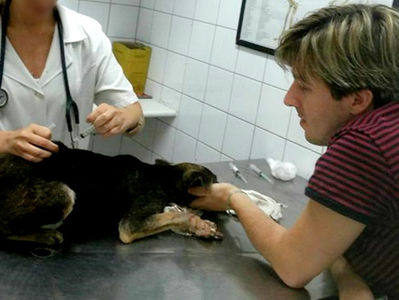 Conquista de Lisandro, veterinário gratuito em Suzano já atendeu mais de 300 animais em 2020