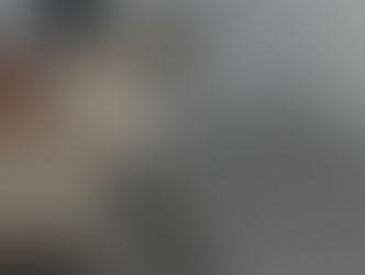 Com lesão na coluna gatinha depende de cirurgia de R$ 2 mil para voltar a andar