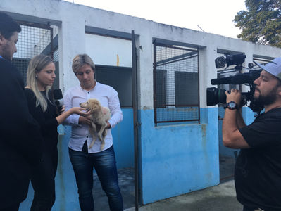 Vistoria no Centro Zoonoses de Suzano identifica irregularidades