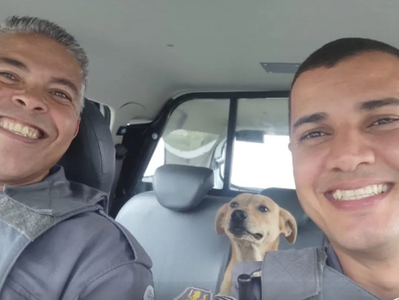 Policiais adotam vira-lata caramelo que caminhava pelas ruas de Lorena, SP