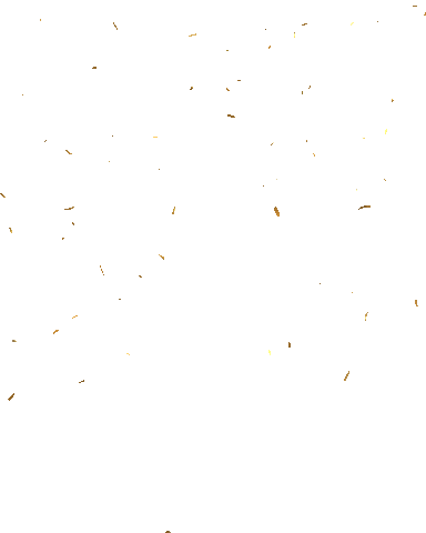 gold confetti.gif