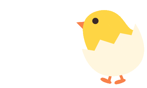 chic in egg.gif