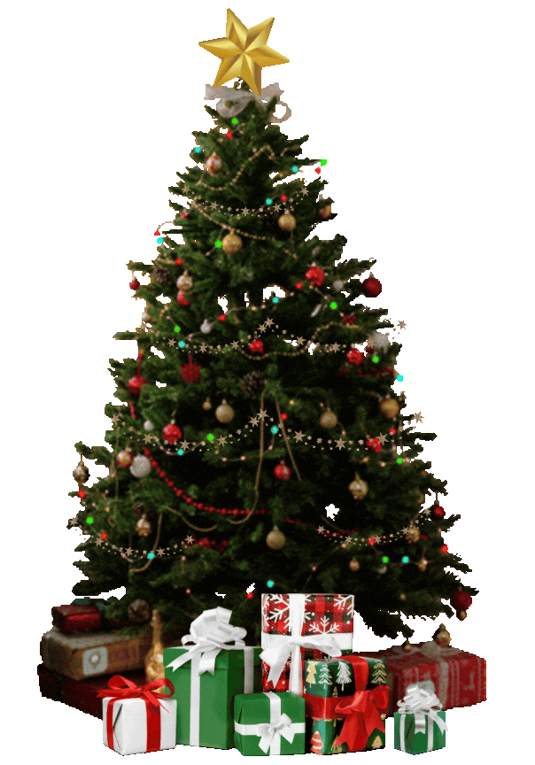 BEST TREE lowest res.gif