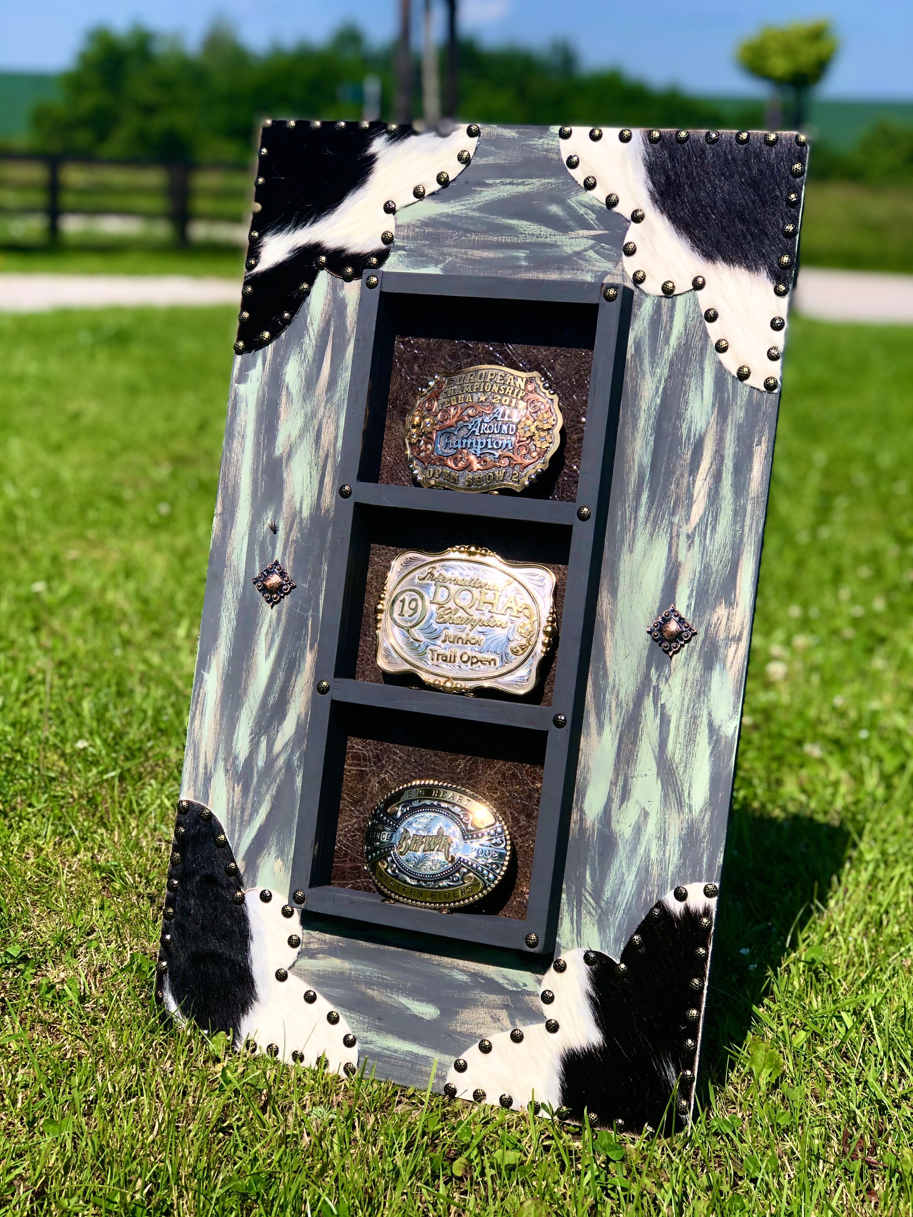BUCKLE DISPLAY