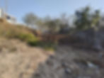 WhatsApp Image 2023-10-19 at 13.24.21