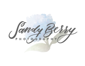 Sandy Berry Photography | Harrisburg PA Family & Wedding Photographer