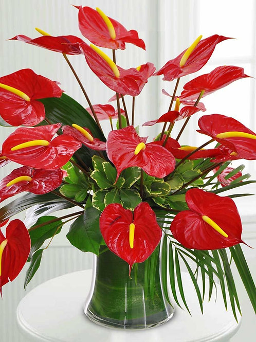 ALL MY HEART RED ANTHURIUM BOUQUET | rework