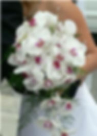 butterfly orchid bouquet