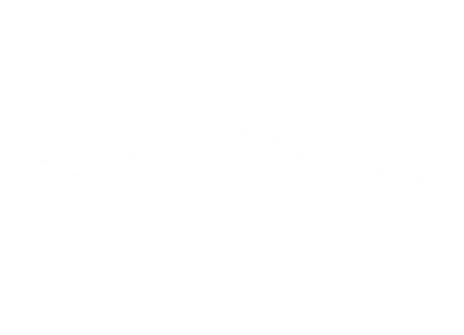 Barn Motors Icon