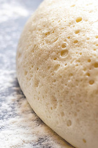 Instant Dry Yeast-Bioven Ingredients.jpg