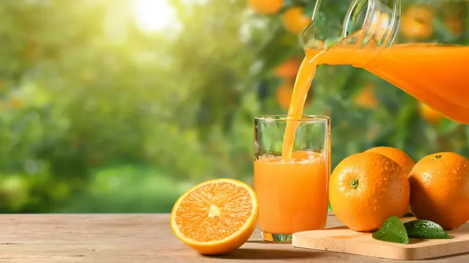Orange Juice Concentrate Clear-Bioven Ingredients