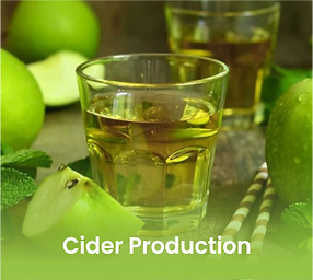 Cider Production Enzyme-Bioven Ingredients.png
