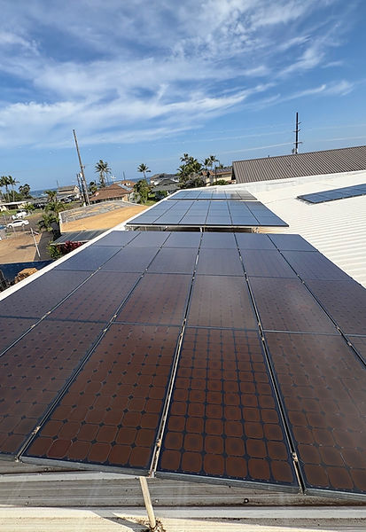 Island Soap After.jpeg