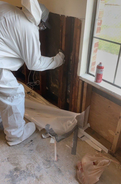 aHR0cHM6Ly9jb21wYW55Y2FtLXBlbmRpbmcuczMuYW1hem9uYXdzLmNvbS9lM2NhMWY1Yy1lYTk4LTQyZTUtYmNkYy