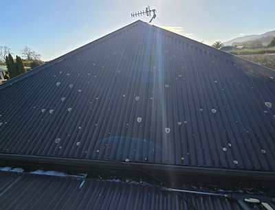Roof treatment