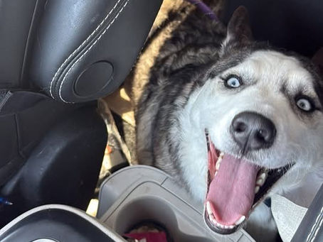 What We Read Over Coffee Would Break a Lot of People