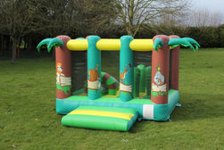 Bouncer jungle (2).JPG
