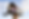 Untitled design-7.png