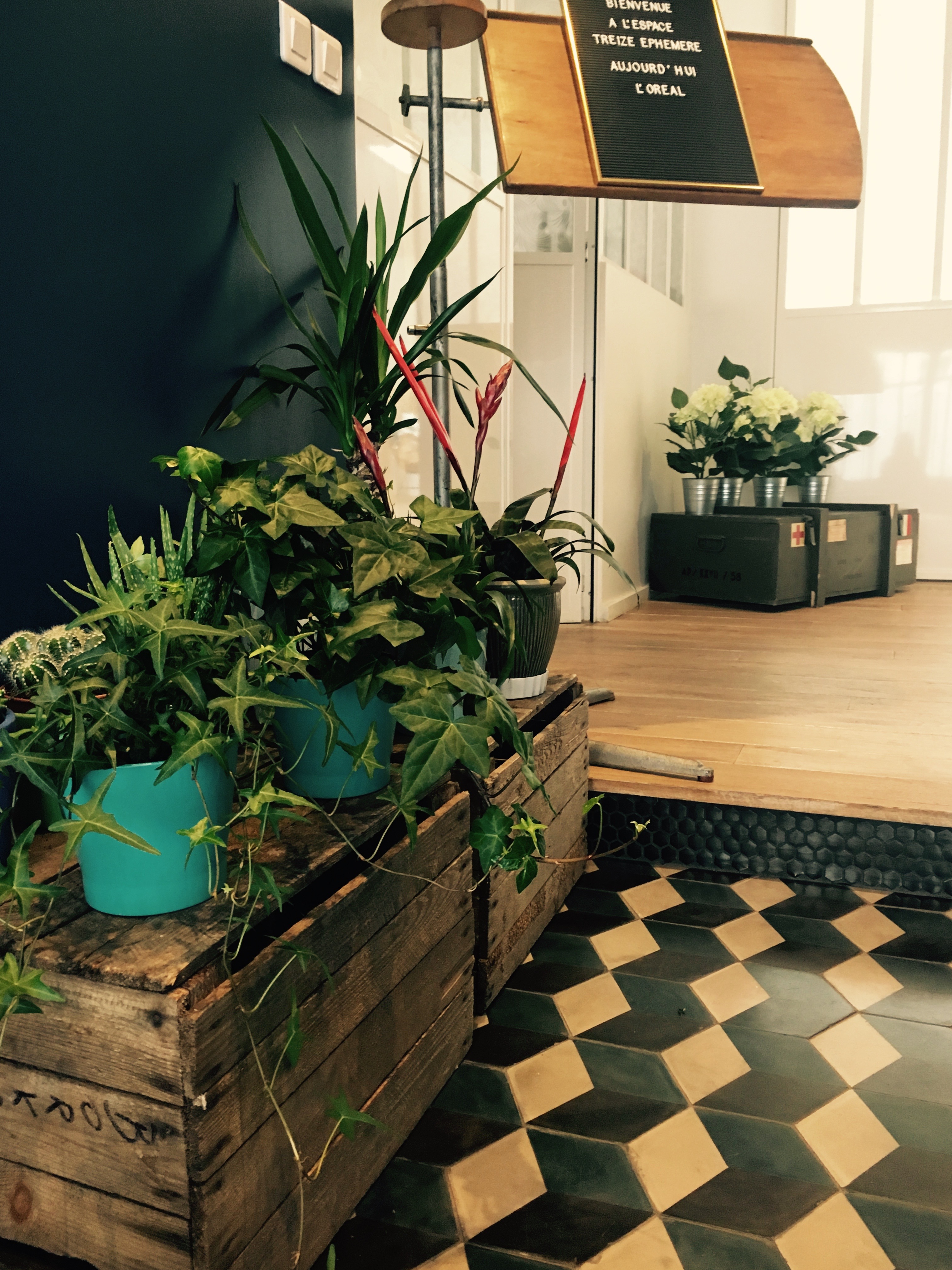 ESPACE TREIZE EPHEMERE