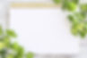 木目調の背景に植物