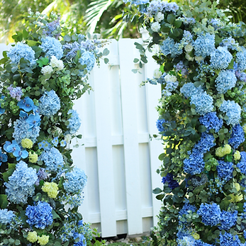 Untitled design (12).png