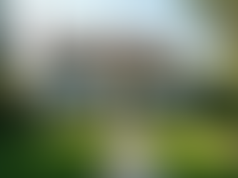 Why Simply Zen Exterior Services is Jacksonville's Secret to Professionalism and Stellar Customer Care